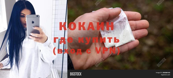 ГАЛЛЮЦИНОГЕННЫЕ ГРИБЫ Аркадак