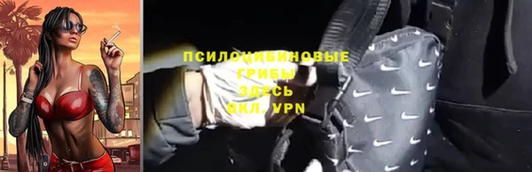 ГАЛЛЮЦИНОГЕННЫЕ ГРИБЫ Аркадак