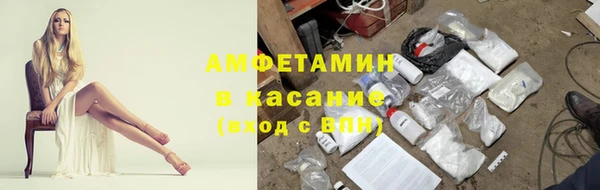 ГАЛЛЮЦИНОГЕННЫЕ ГРИБЫ Аркадак
