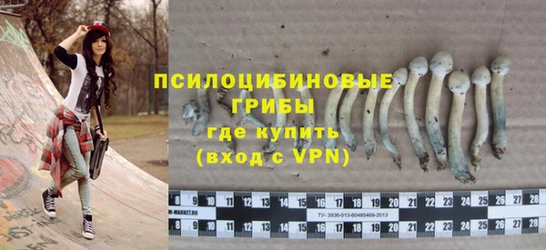 герыч Арсеньев