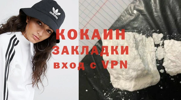 ГАЛЛЮЦИНОГЕННЫЕ ГРИБЫ Аркадак